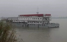  &ldquo;回頭看&rdquo;典型案例通報（一）丨安慶市江豚自然保護區不斷瘦身 &ldquo;水中大熊貓&rdquo;生境堪憂