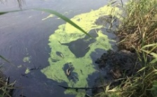  南通如皋市危險廢物威脅長江水質安全