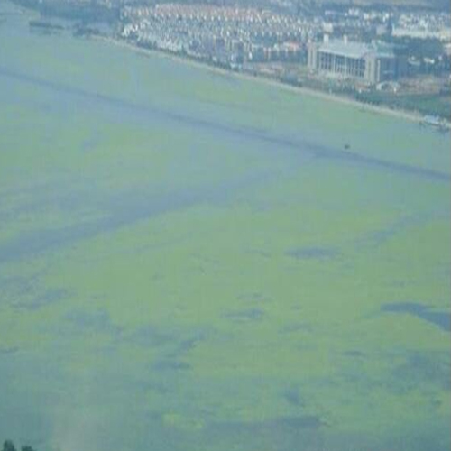  cod對水質和環境的影響和危害