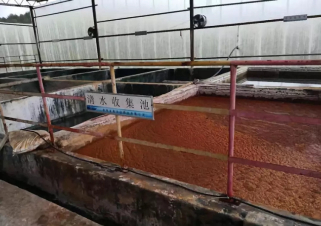 永鑫公司清水收集池&ldquo;清水&rdquo;不清